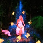 Jason-D.-Page-Pink-Hippo